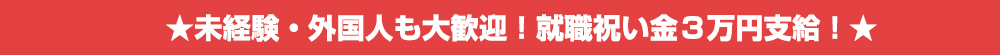 空港グランドハンドリング業務（ランプサービス担当）未経験・第二新卒歓迎